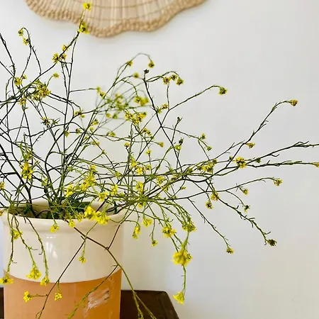 Lantgård Masseria Voluzzi