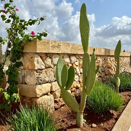 Masseria Voluzzi Farm stay *