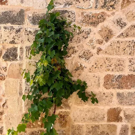 ファームステイ Masseria Voluzzi