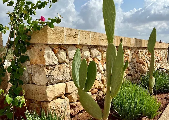 Masseria Voluzzi Vakantieboerderij *