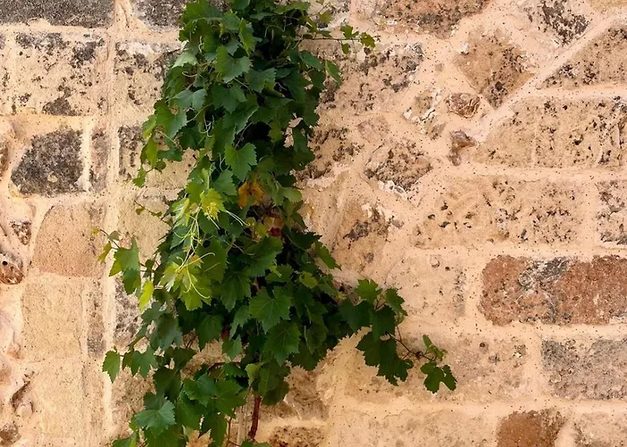 Vakantieboerderij Masseria Voluzzi